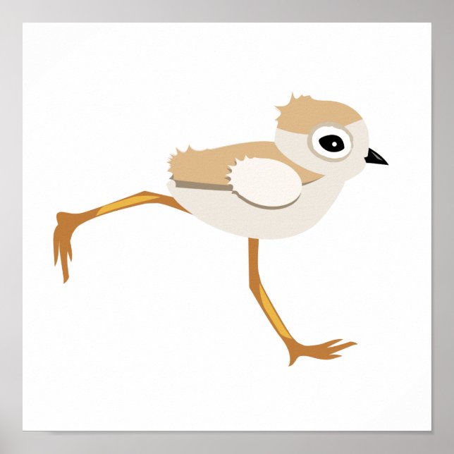 Baby Sandpiper or Piping Plover Chick Poster (Front)