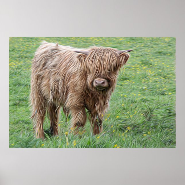 baby Scottish Highland cow Poster (Front)