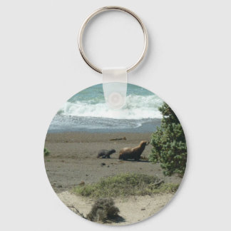 Baby sea lion and mother key ring