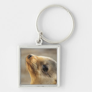 Baby Sea Lion Face Key Ring