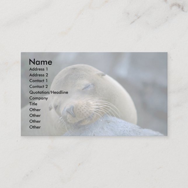 Baby sea lion, Galapagos Islands Business Card (Front)