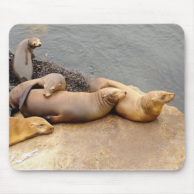 Baby Sea Lions Mouse Mat (Front)