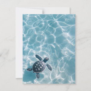 Baby Sea Turtle in Clear Water Postcard