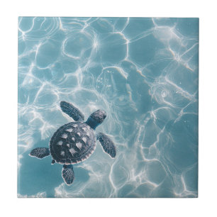 Baby Sea Turtle in Clear Water Tile