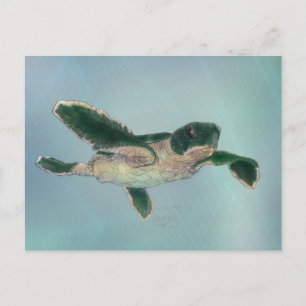 Baby Sea Turtle Postcard