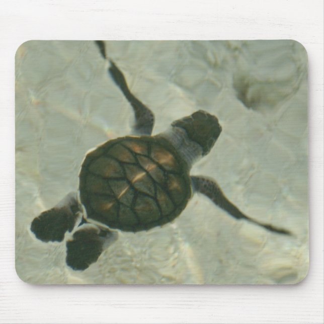 Baby Sea Turtle Swimming Out To Sea Mouse Mat (Front)