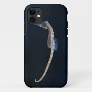 Baby Seahorse iPhone 5 Case