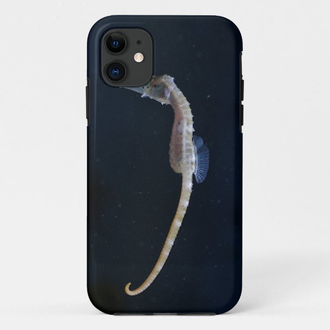 Baby Seahorse iPhone 5 Case (Back)