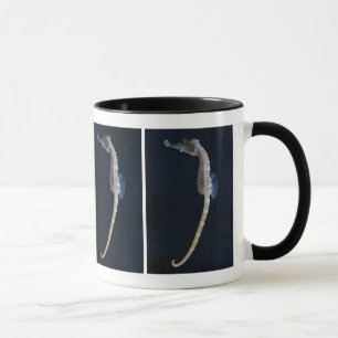 Baby Seahorse Mug