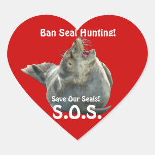 BABY SEAL Anti Seal-Hunt Wildlife Sticker