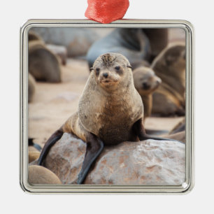 Baby Seal Metal Tree Decoration