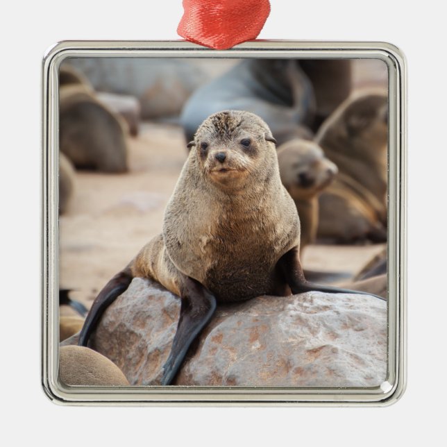 Baby Seal Metal Tree Decoration (Front)