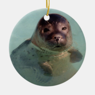 Baby Seal Ornaemnt Ceramic Tree Decoration