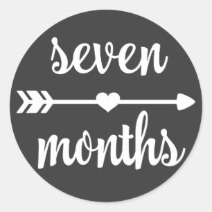 Baby Seven Months Milestone Stickers