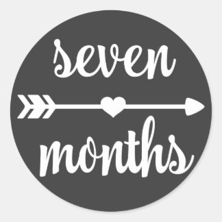 Baby Seven Months Milestone Stickers