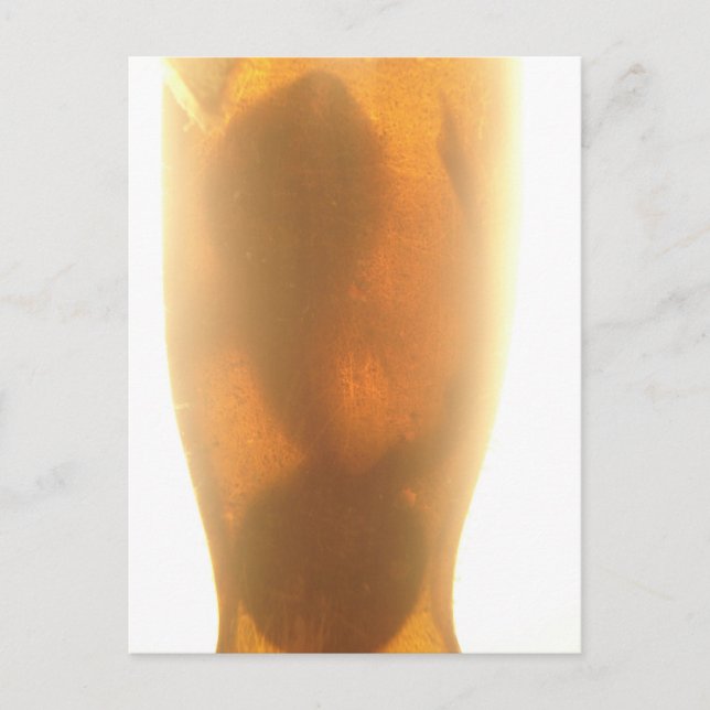 Baby Shark Postcard (Front)