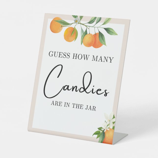 Baby Shower Decorations Neutral Gender Tabletop Pedestal Sign (Front)