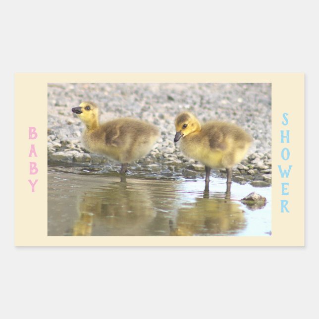 Baby Shower Goslings Stickers (Front)