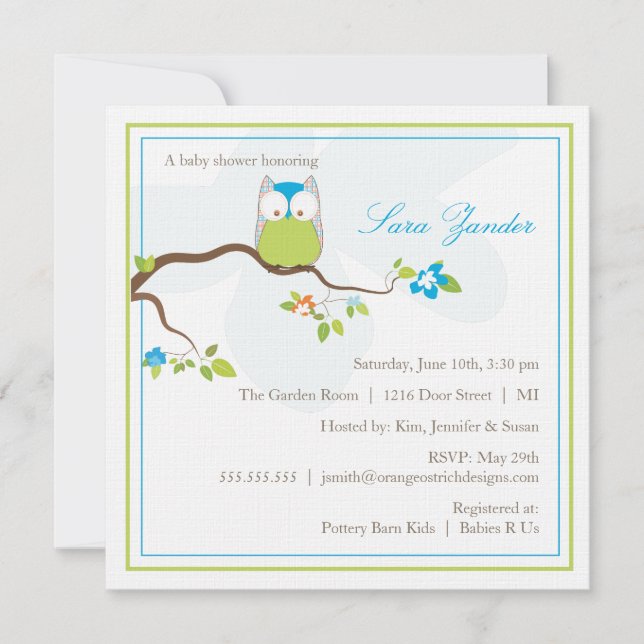 Baby Shower Invitation - Blue and Green Baby Owl (Front)