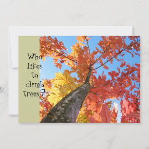 Baby Shower Invitations Baby Boy Climb Fall Trees