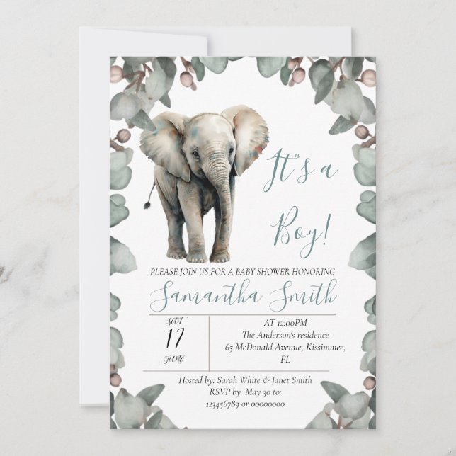 Baby Shower it's a boy theme Invitation (Front)