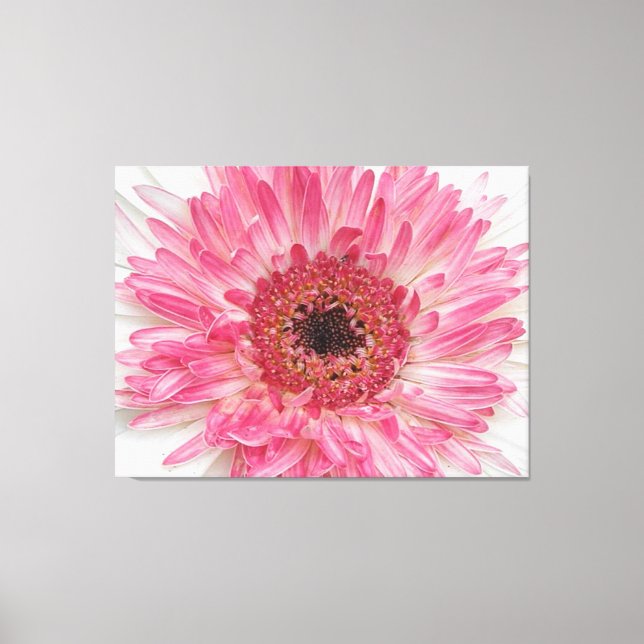Baby Shower Pink Flower- Pink Design Canvas Print (Front)