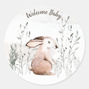 Baby Shower Woodland Animals Classic Round Sticker