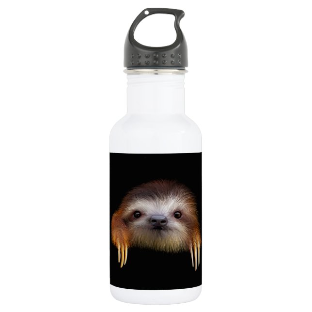 Baby Sloth 532 Ml Water Bottle (Front)