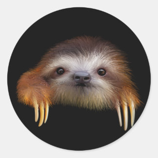 Baby Sloth Classic Round Sticker