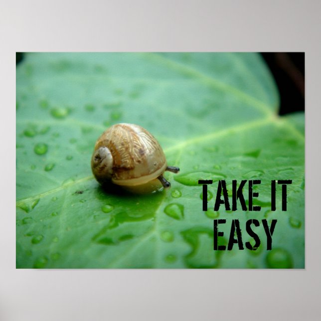 Baby Snail Poster (Front)