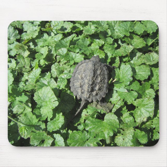 Baby Snapping Turtle Mouse Mat (Front)