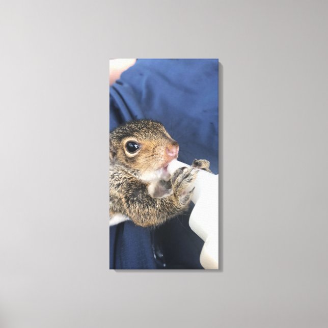 Baby Squirrel  Canvas Print (Front)