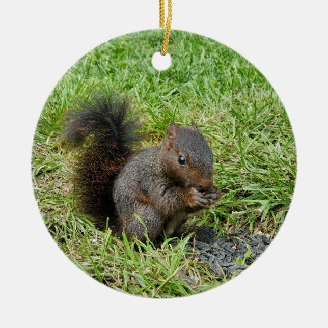Baby squirrel ceramic tree decoration (Front)