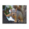 Baby Squirrel in Tree
