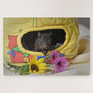 baby squirrel puzzle