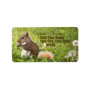 Baby Squirrel Return Address Labels