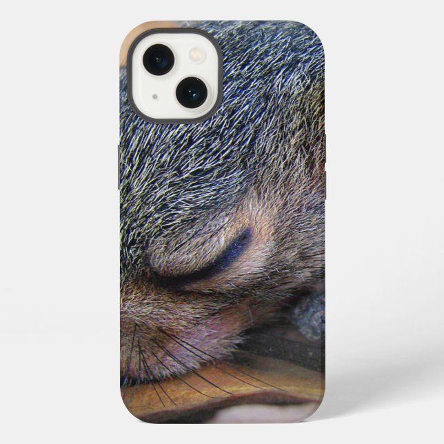 Baby Squirrel Sleeping iPhone Case (Back)