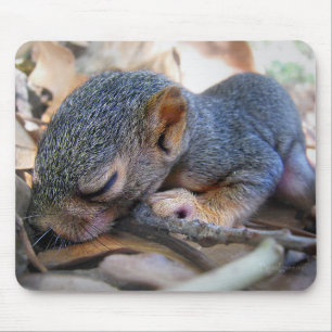 Baby Squirrel Sleeping Mouse Mat