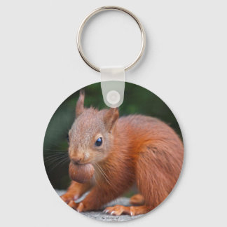Baby Squirrel with Nut Keyring