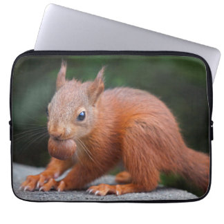 Baby Squirrel with Nut Laptop Sleeve