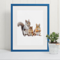Baby Squirrels and Chipmunk Nursery 