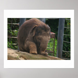 Baby Steps Poster