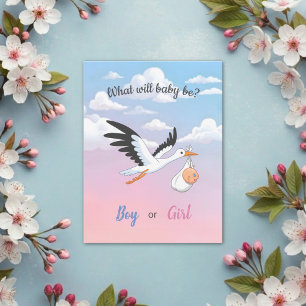 Baby Stork Clouds Gender Reveal Party Invitation 2 Postcard