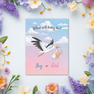 Baby Stork Clouds Gender Reveal Party Invitation Postcard