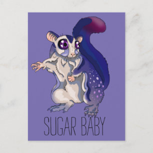 Baby Sugar Glider Postcard