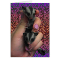 Baby Sugar Gliders Card Expecting Twins Card