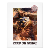 Baby Sulcata hiking in Sedona Red Rocks Arizona