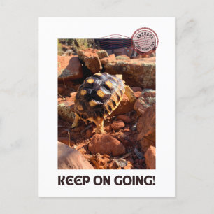 Baby Sulcata hiking in Sedona Red Rocks Arizona Postcard