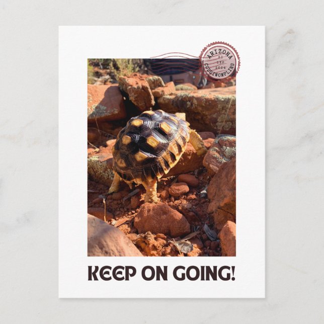 Baby Sulcata hiking in Sedona Red Rocks Arizona Postcard (Front)