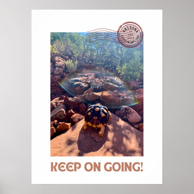 Baby Sulcata Tortoise Keep On Going Inspiration Poster (Front)